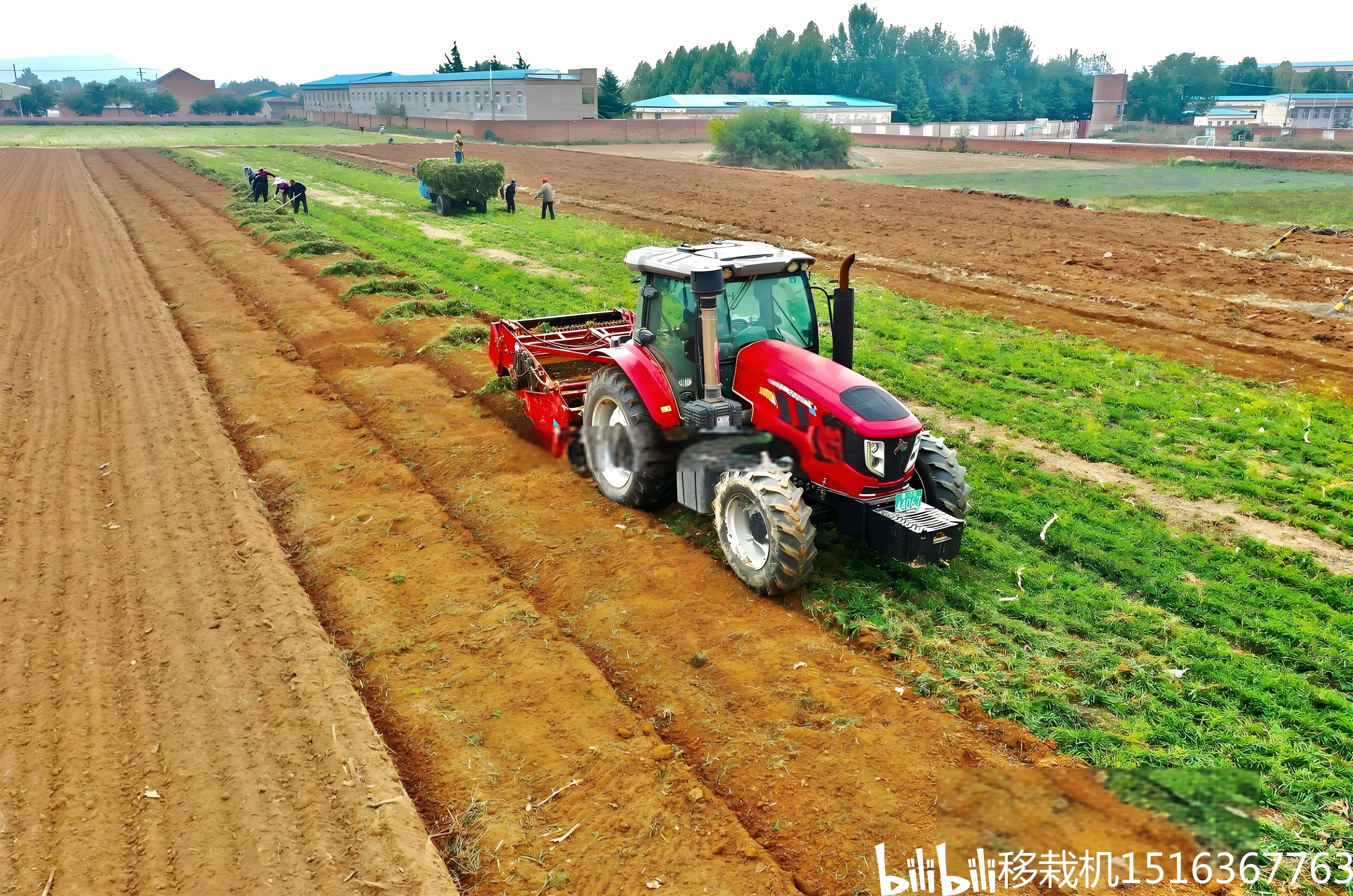 中药材收获机 贝母药材起药机 材收割机 药材收割机 深挖药材机械 起