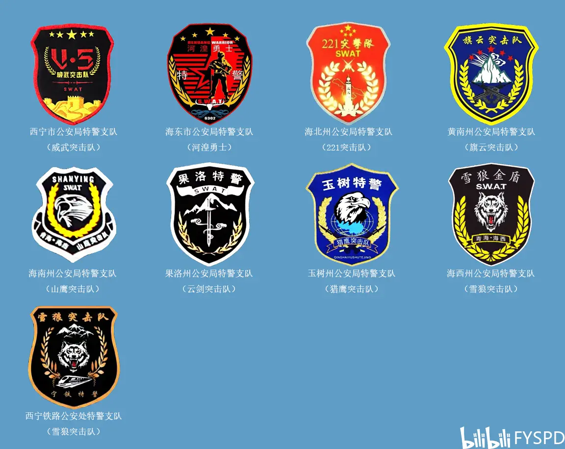 全国公安特警个性化标志图鉴集锦