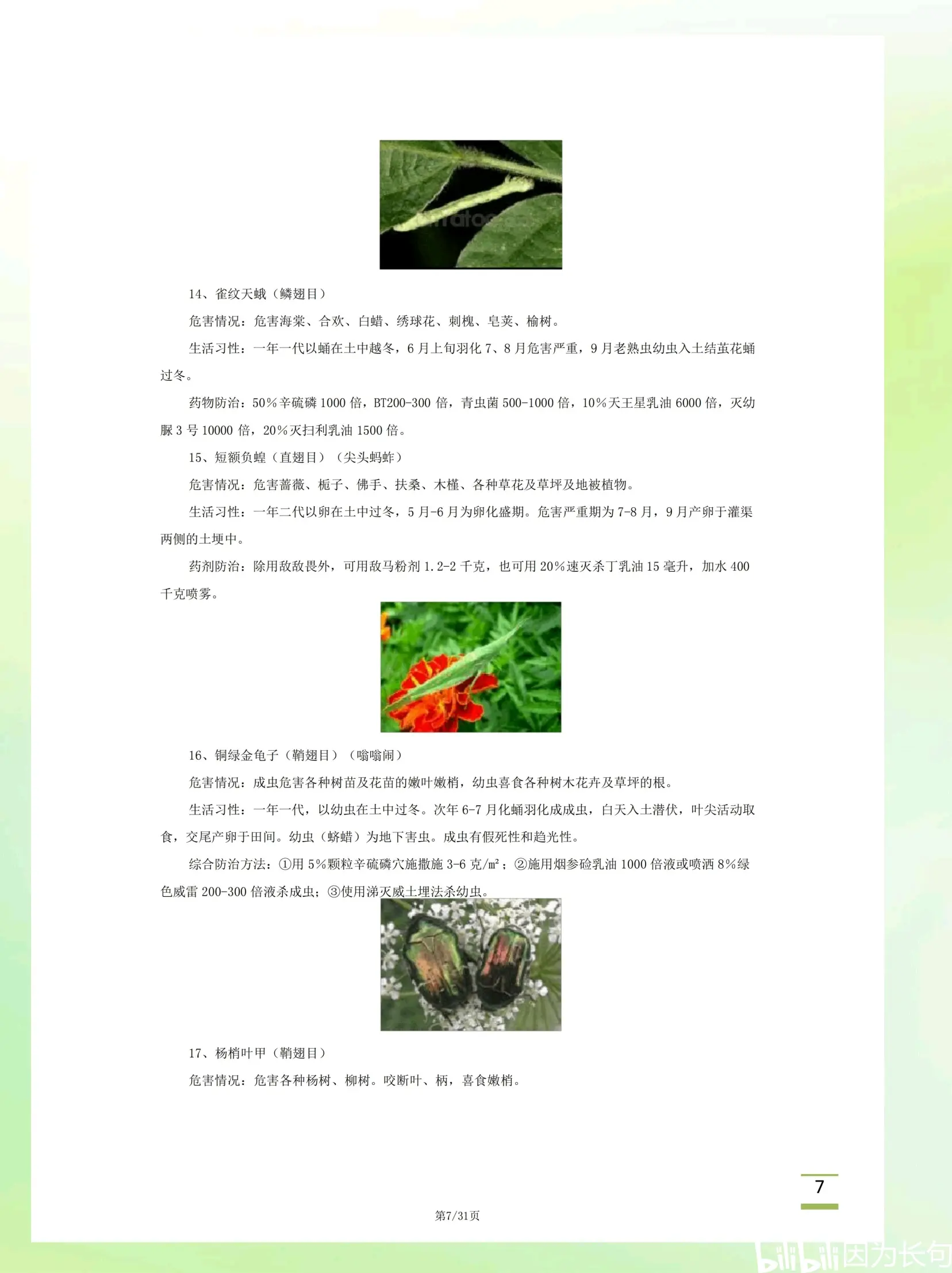 植物病害四要素图片