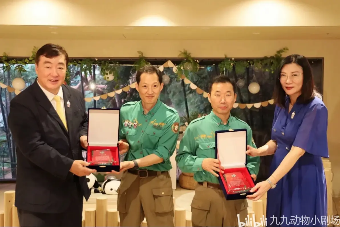福宝评为三岁大熊猫中最听话的熊猫!韩国民众青瓦台请愿挽留福宝