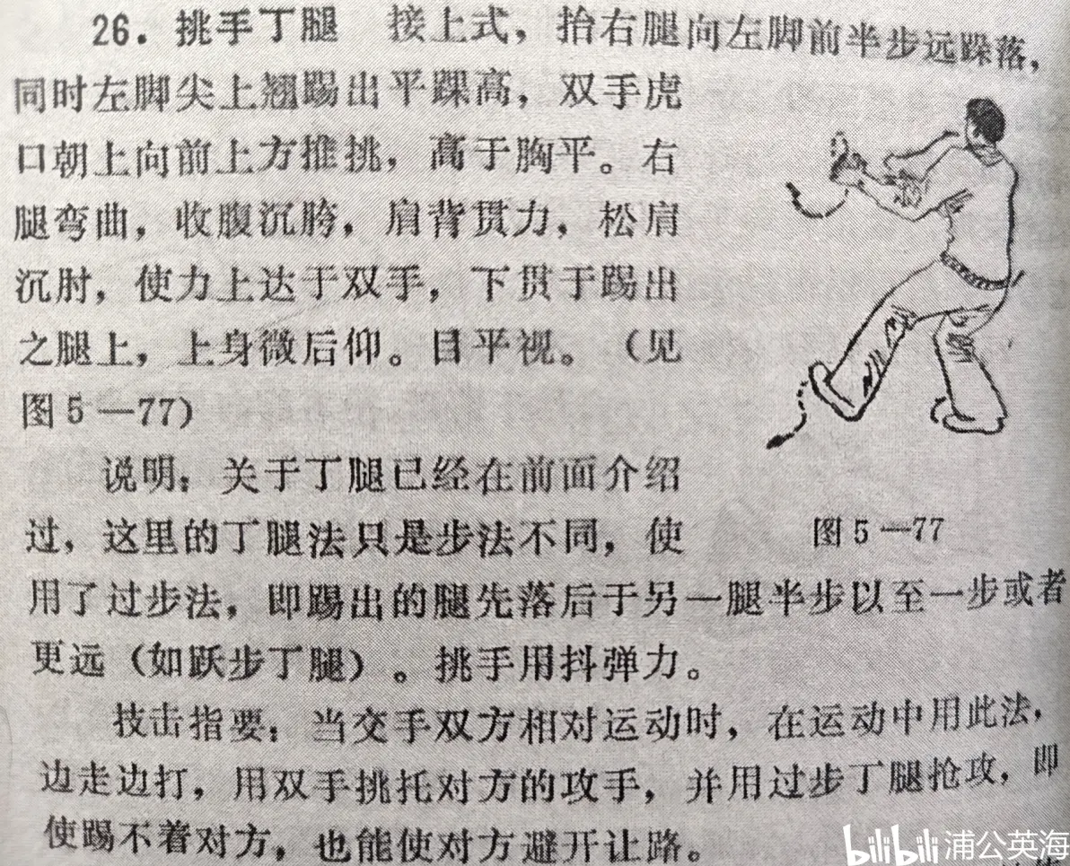 戳脚文趟子拳