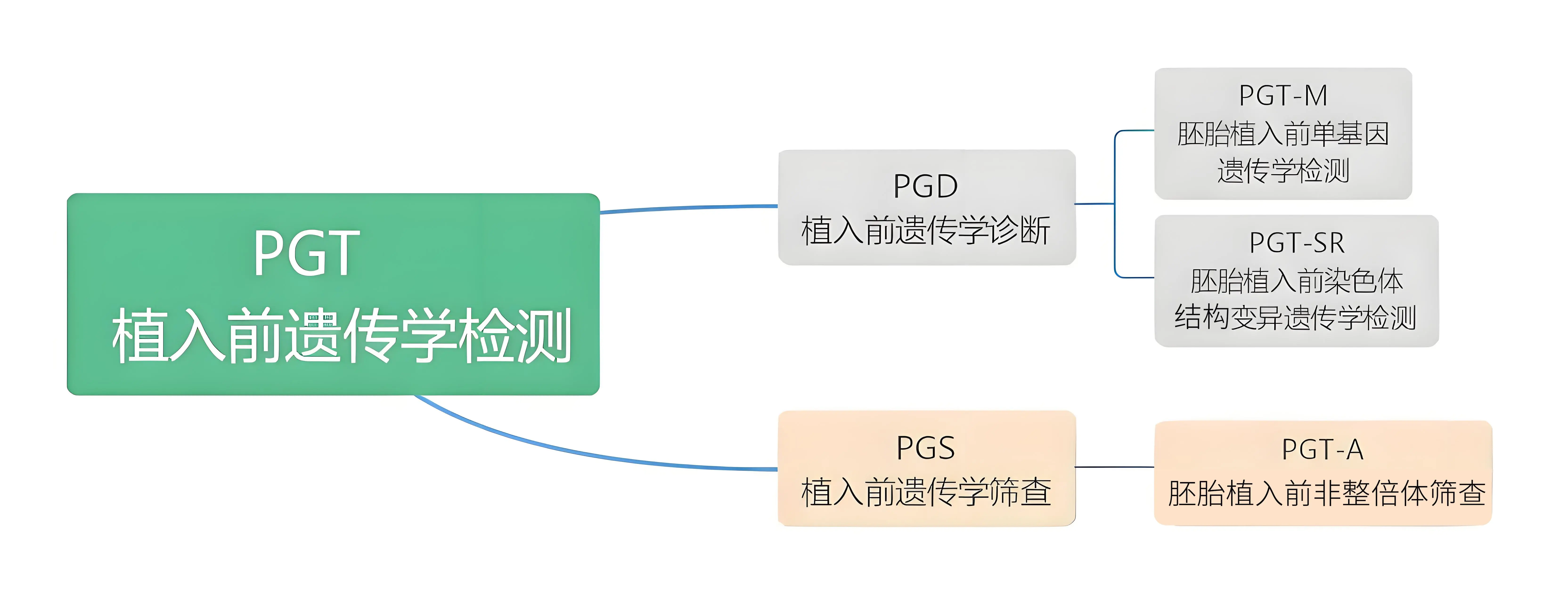 第三代试管pgs准确率