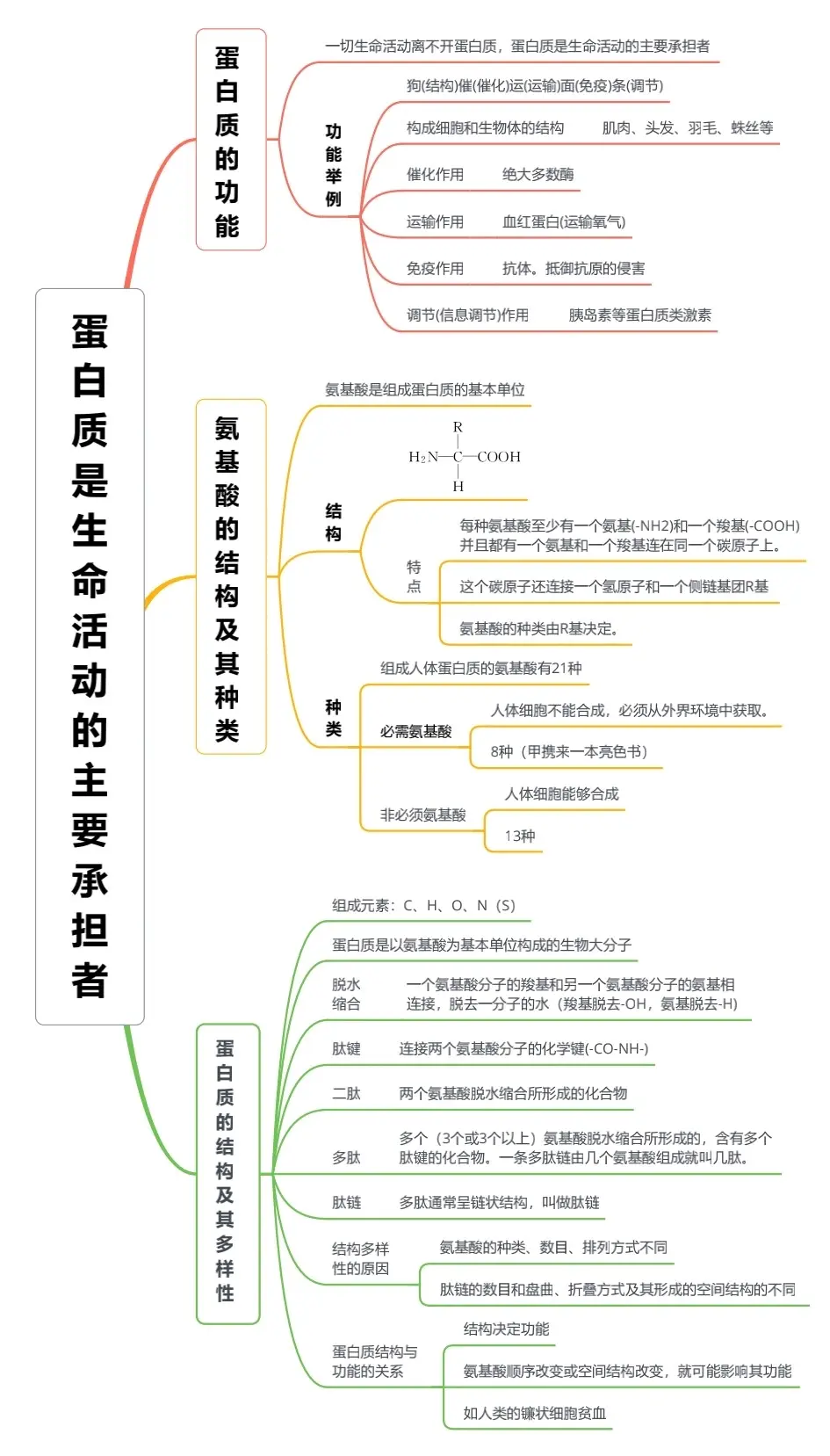 思维导图 必修一 第二章 组成细胞的分子