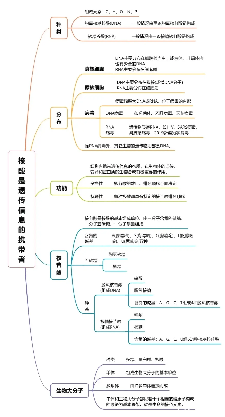 思维导图 必修一 第二章 组成细胞的分子