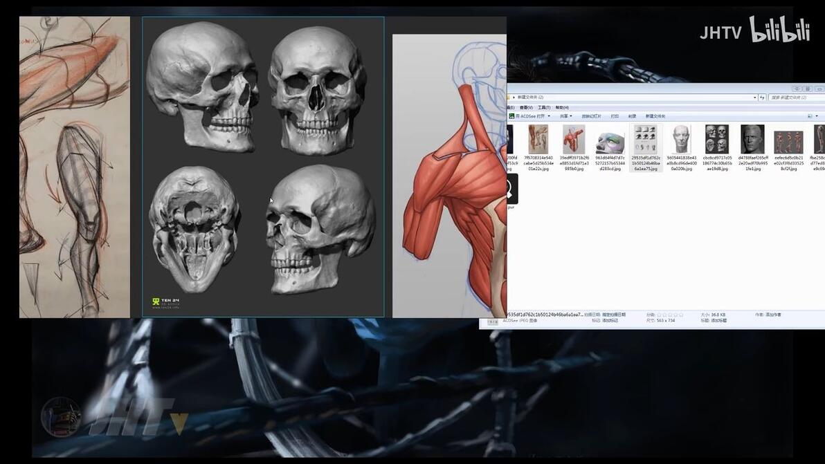 建模必备-参考图软件PureRef教学 - 哔哩哔哩