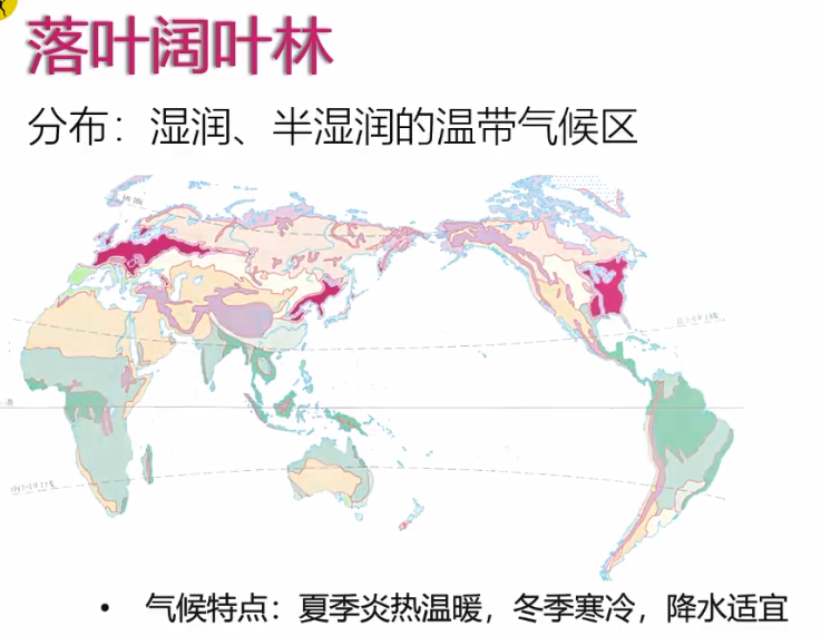 非洲植被分布示意图图片