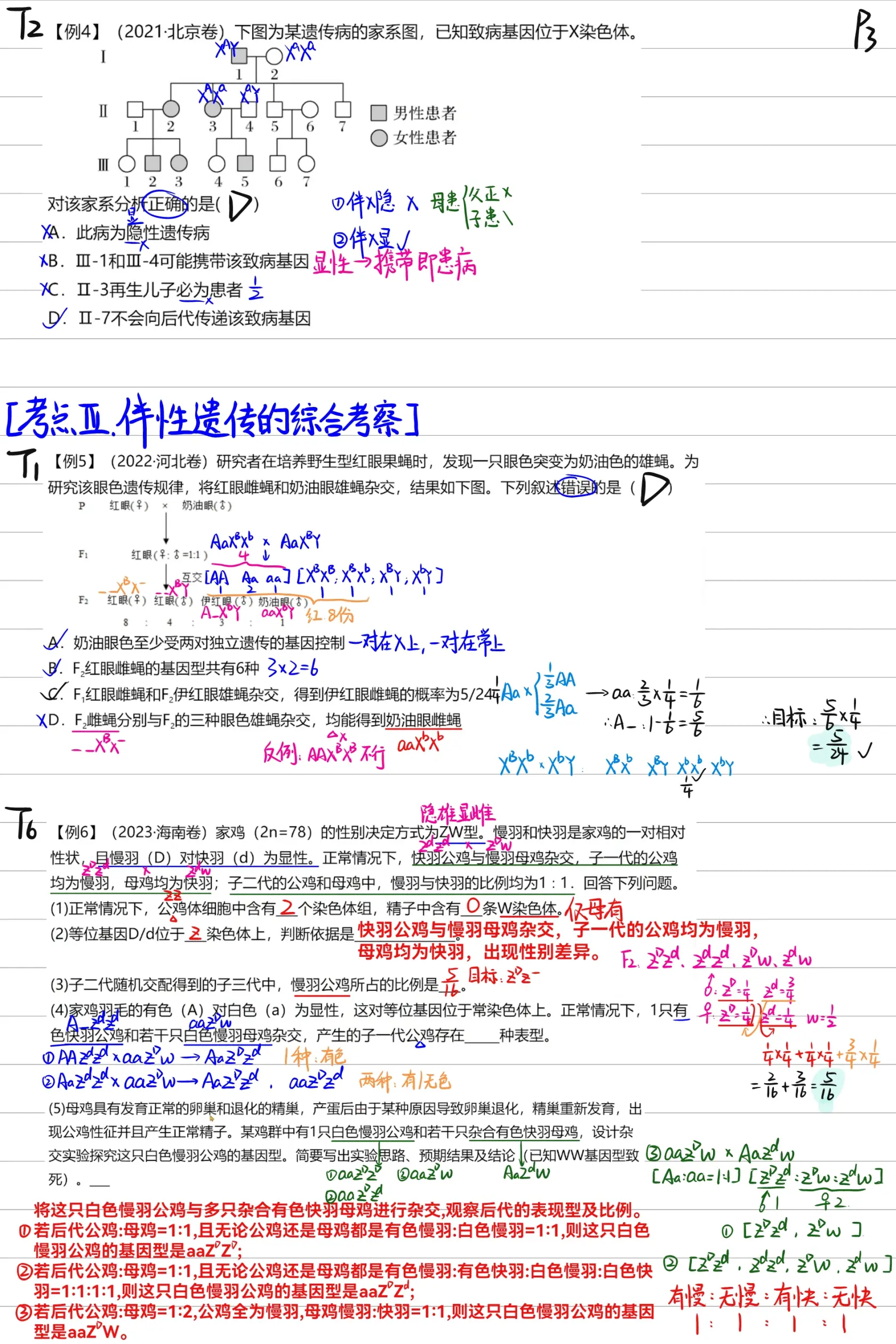 伴性遗传系谱图大招图片