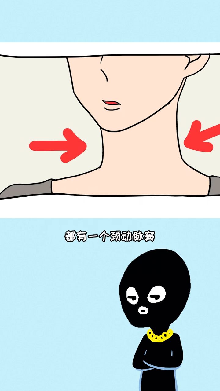 都有一个颈动脉窦,(^66^●)17这个位置会造成神经反射,从而导致