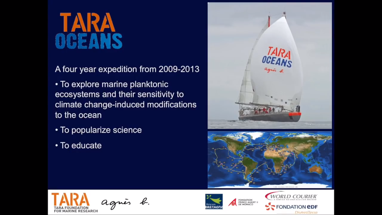 (deoxygenation problem)ocean can generate oxygen through