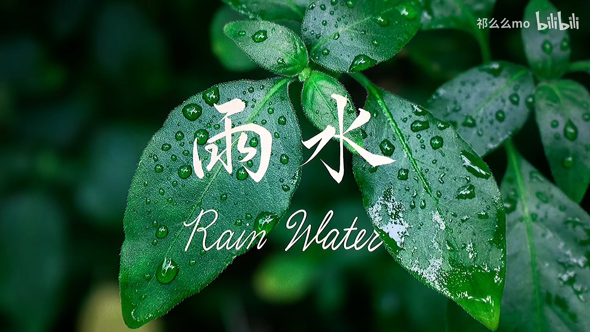 冬奥会的24节气倒计时太美了,手写整一个! - 哔哩哔哩