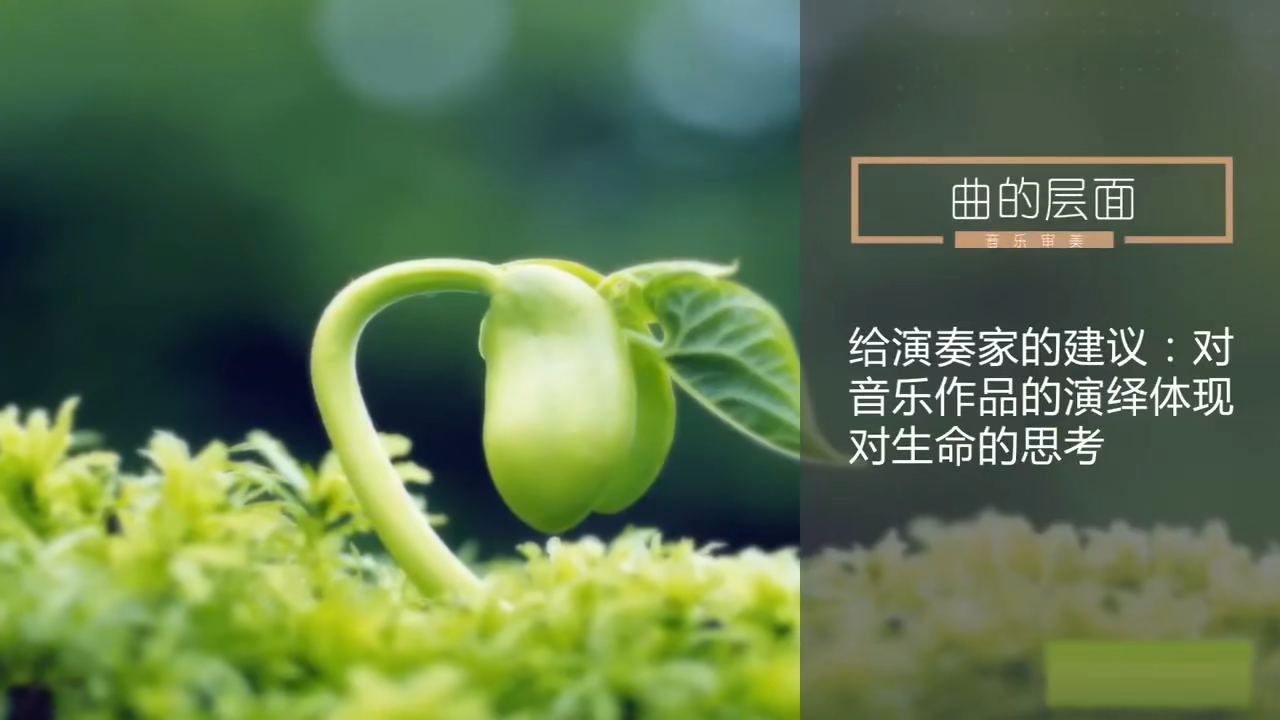 【中央音乐学院】聆听心声:音乐审美心理分析(全83讲)周海宏 - 哔哩