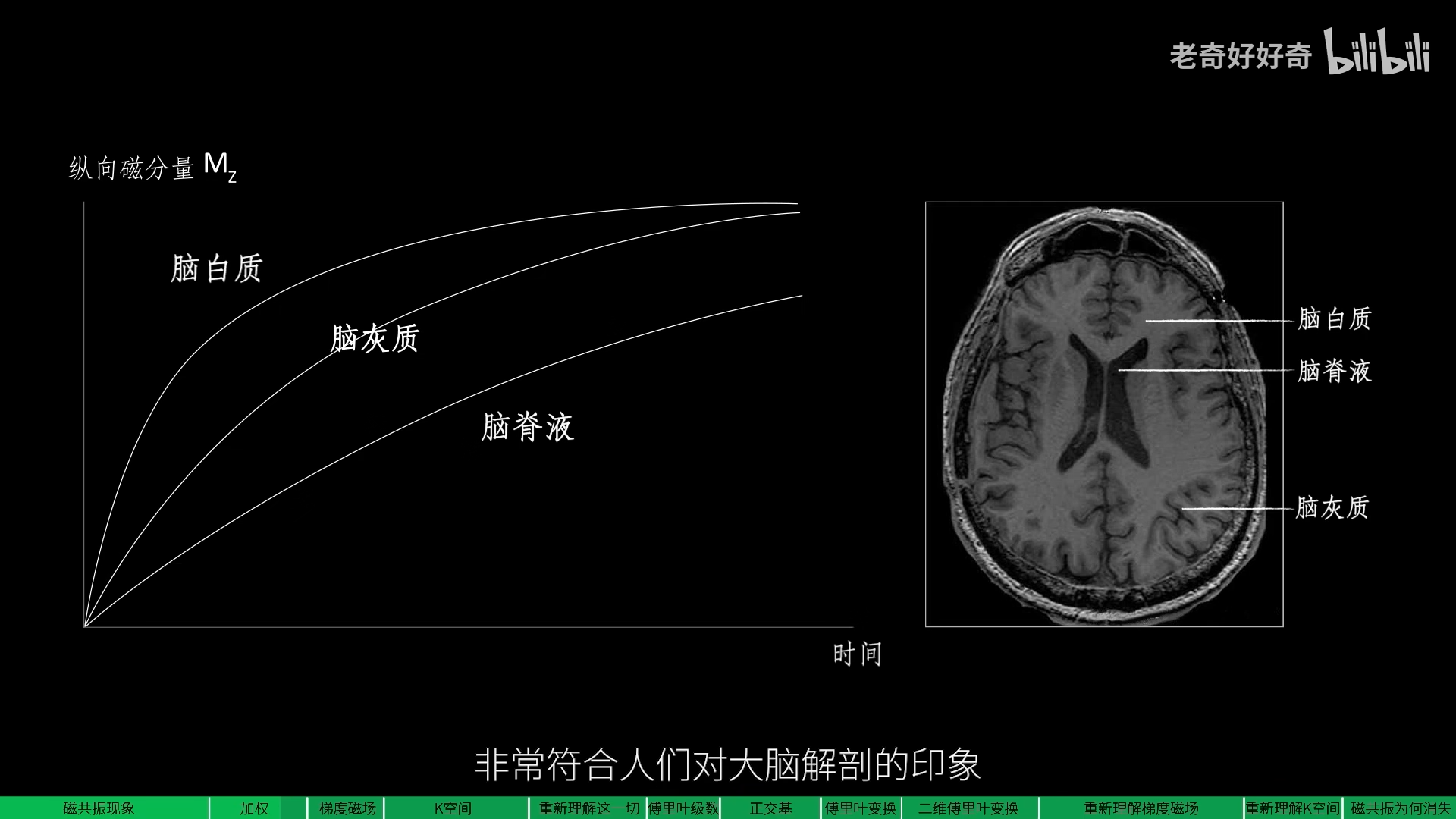 对于纵向磁分量,脑脊液的恢复时间最慢,灰质其次,白质最快.