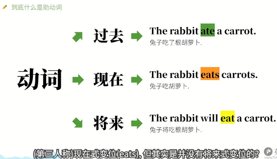 英语语法 助动词 基本助动词 情态助动词 半助动词 哔哩哔哩