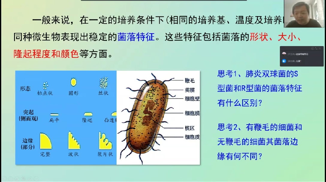 肺炎双球菌的s型菌的菌落光滑(细胞壁外有荚膜),r型菌的菌落粗糙(细胞