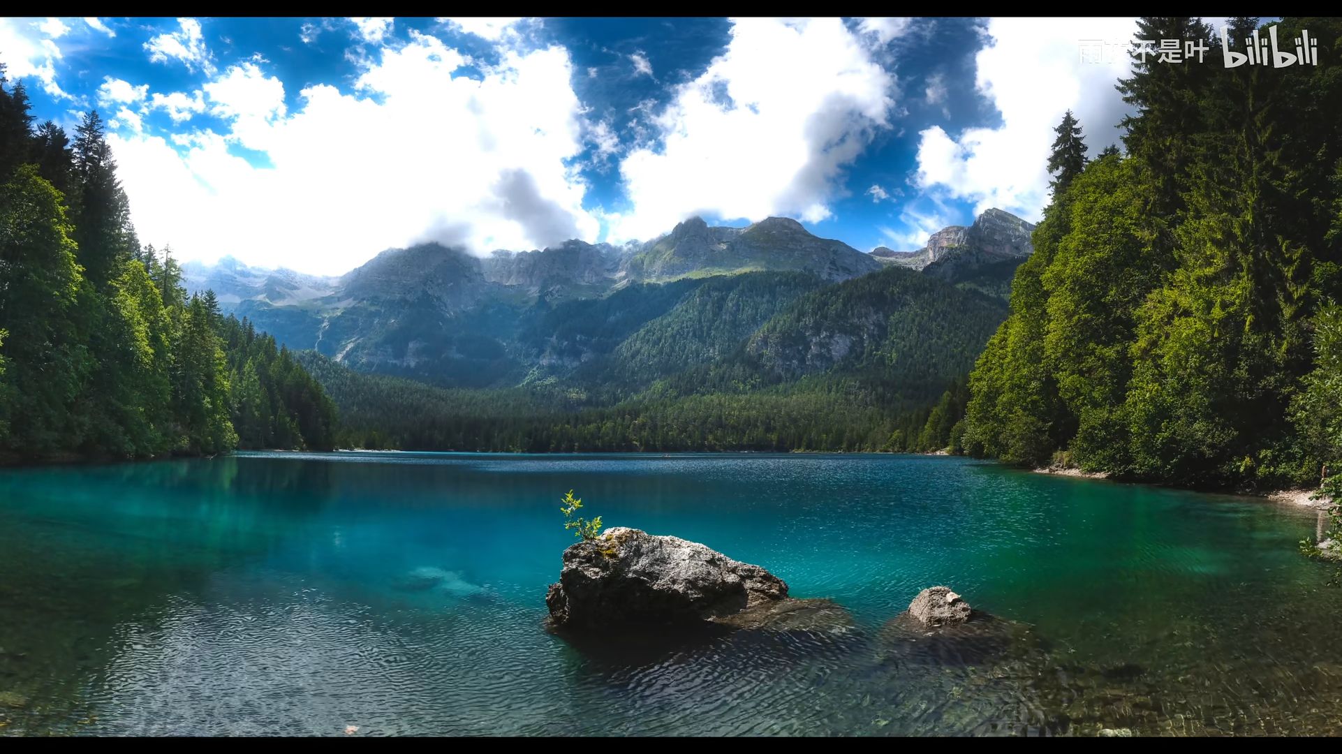 wallpaper engine风景真实向2k4k动态壁纸推荐第七十四期 - 哔哩哔哩