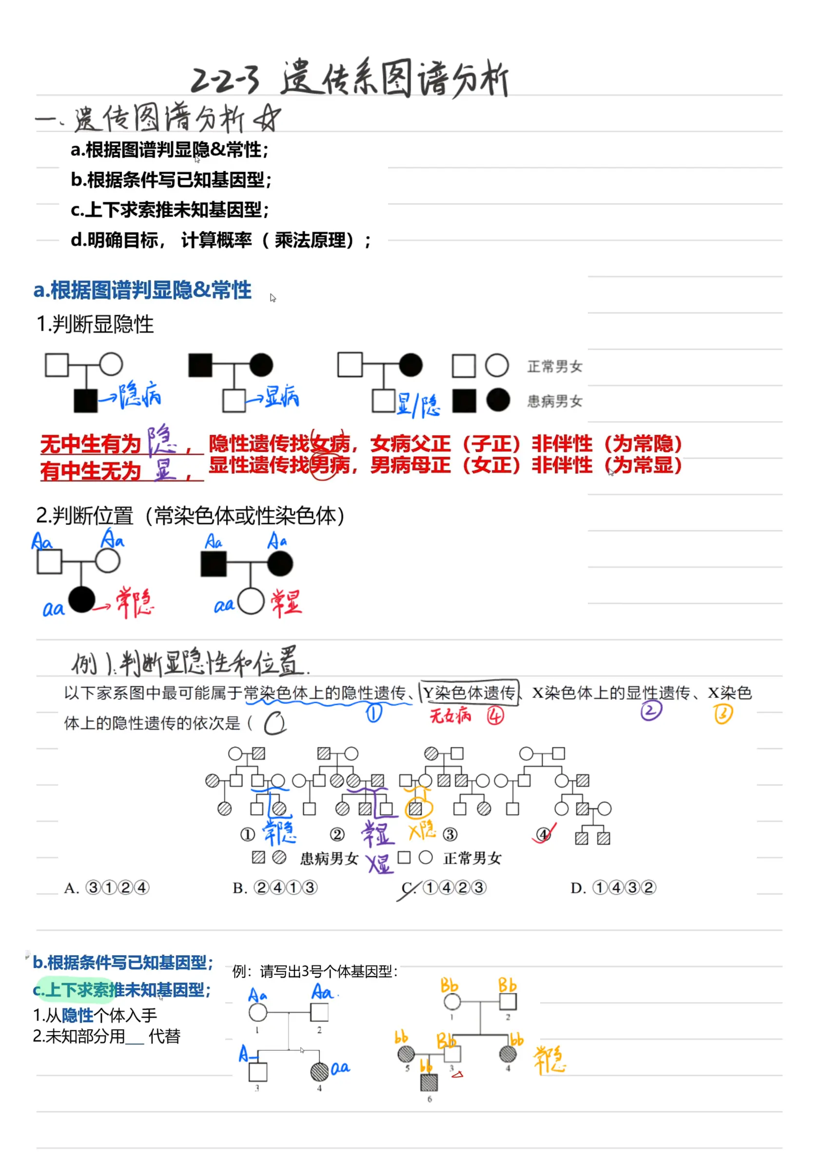 伴性遗传系谱图大招图片