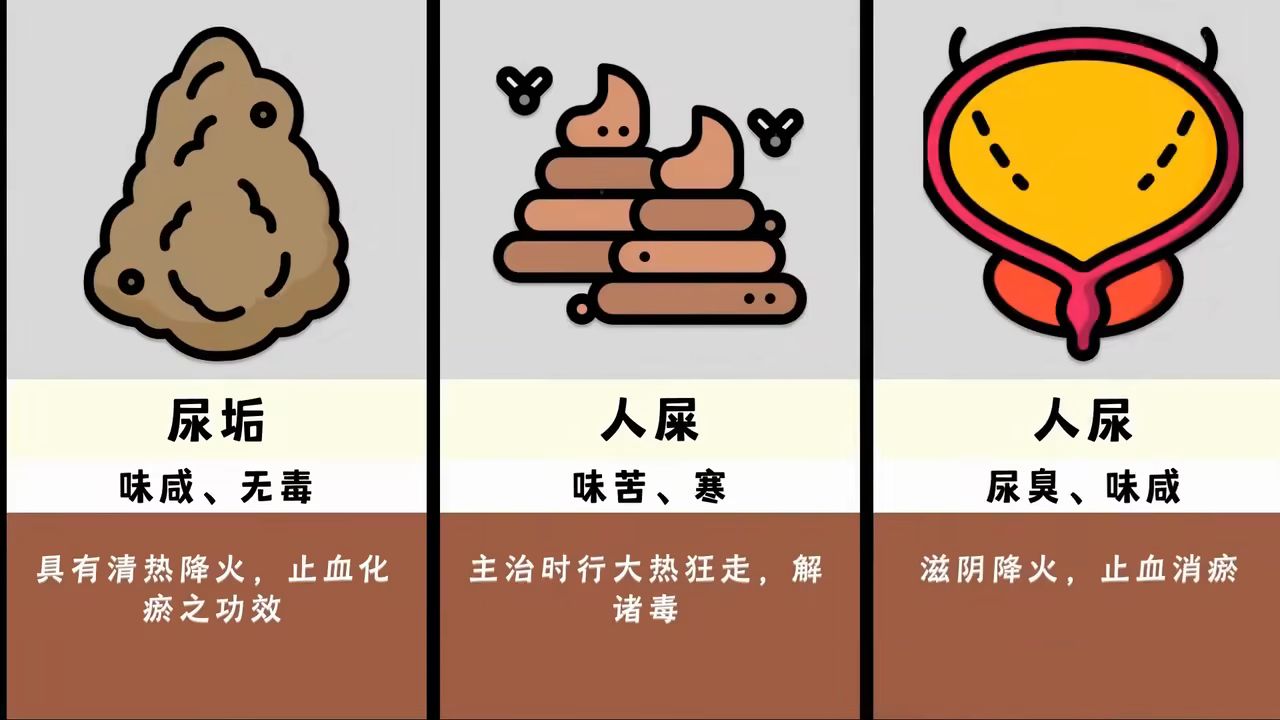 11566尿垢:味咸,无毒,人屎:味苦,寒,人尿:尿臭,味咸课代表来了~up