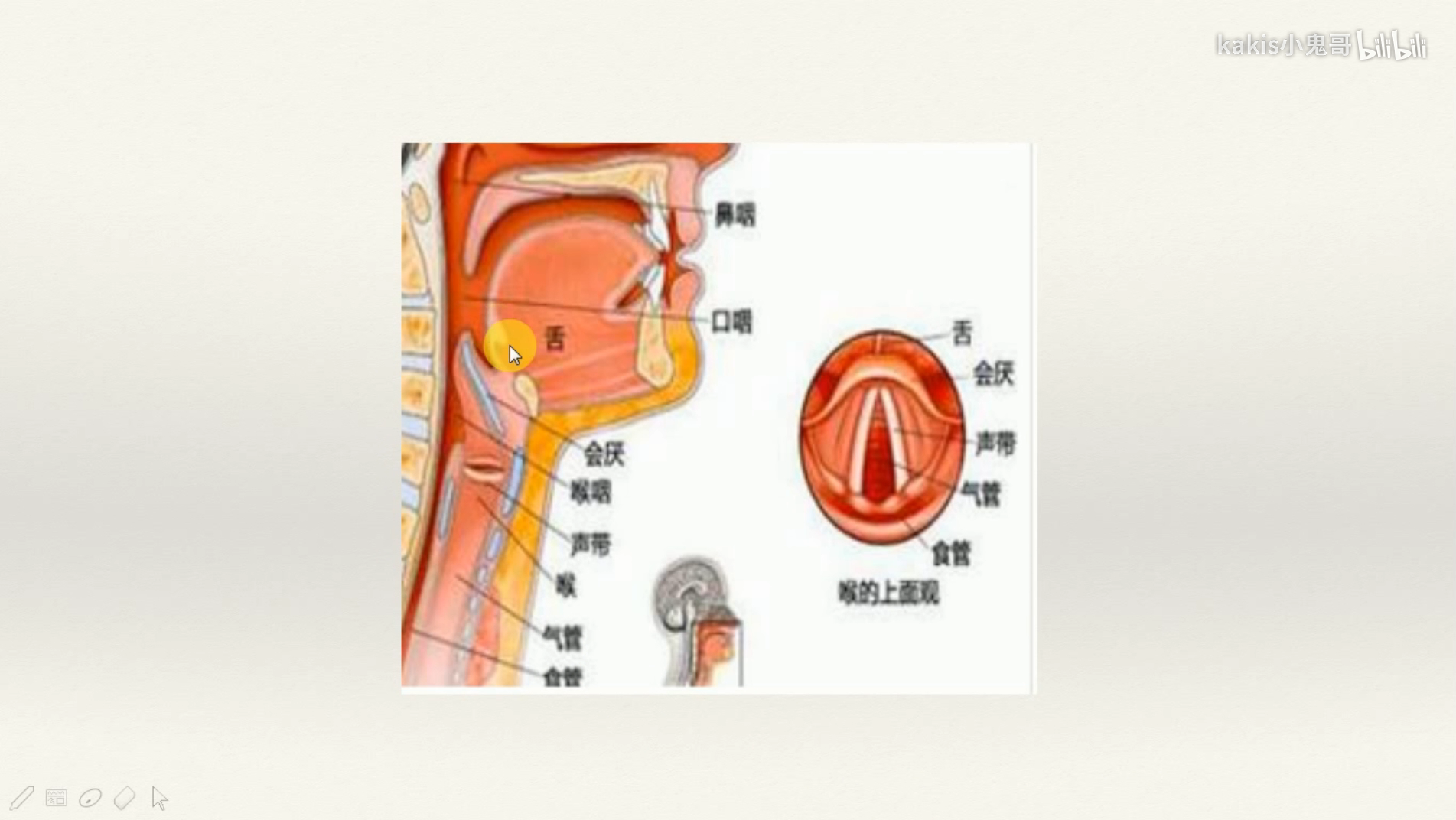 降低喉头的位置13第1课-打开口腔的秘密 p1 - 10:3413低声哼鸣