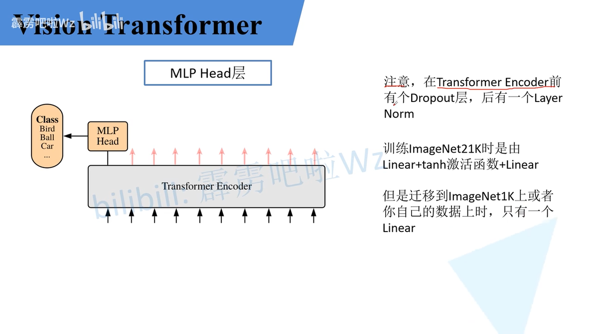 11 1 vision transformer vit 