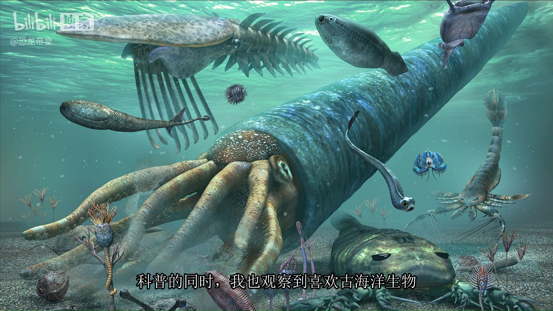 脊椎始皇邓氏鱼?关于盾皮鱼八大谣言的解读 - 哔哩哔哩