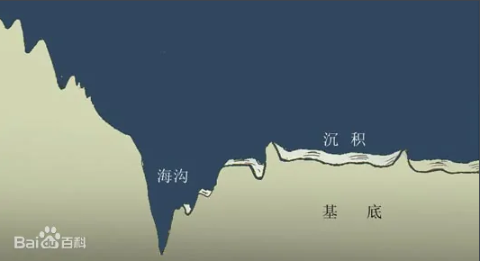 海沟中有生物吗? - 哔哩哔哩