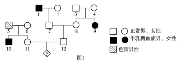 伴性遗传系谱图图片