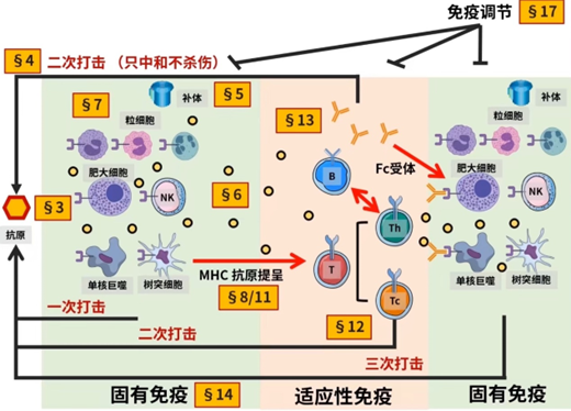 人卫版免疫学 知识点总结梳理 