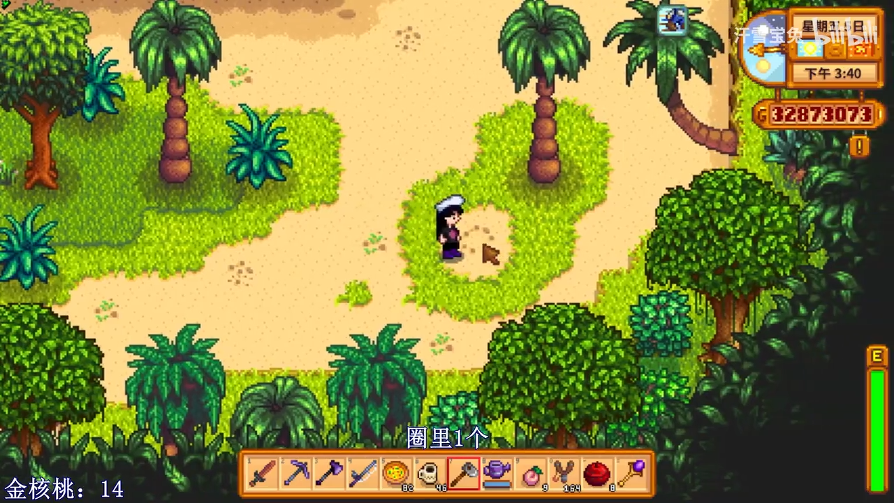 星露谷物语手把手带你找姜岛130个金核桃位置