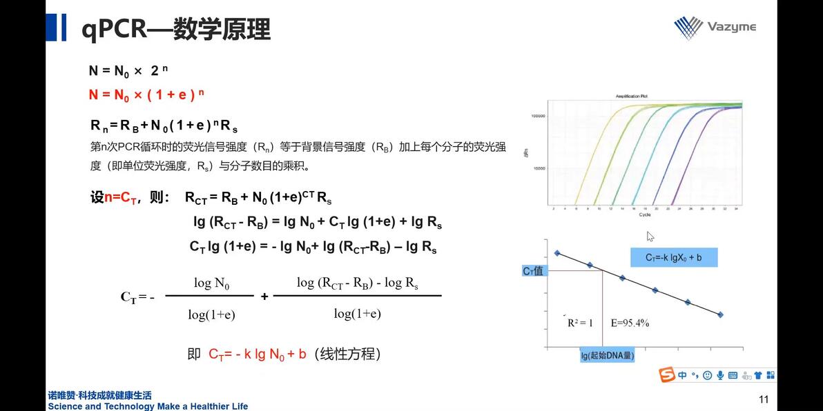 荧光定量（qPCR）原理、实验流程及结果分析 - 哔哩哔哩
