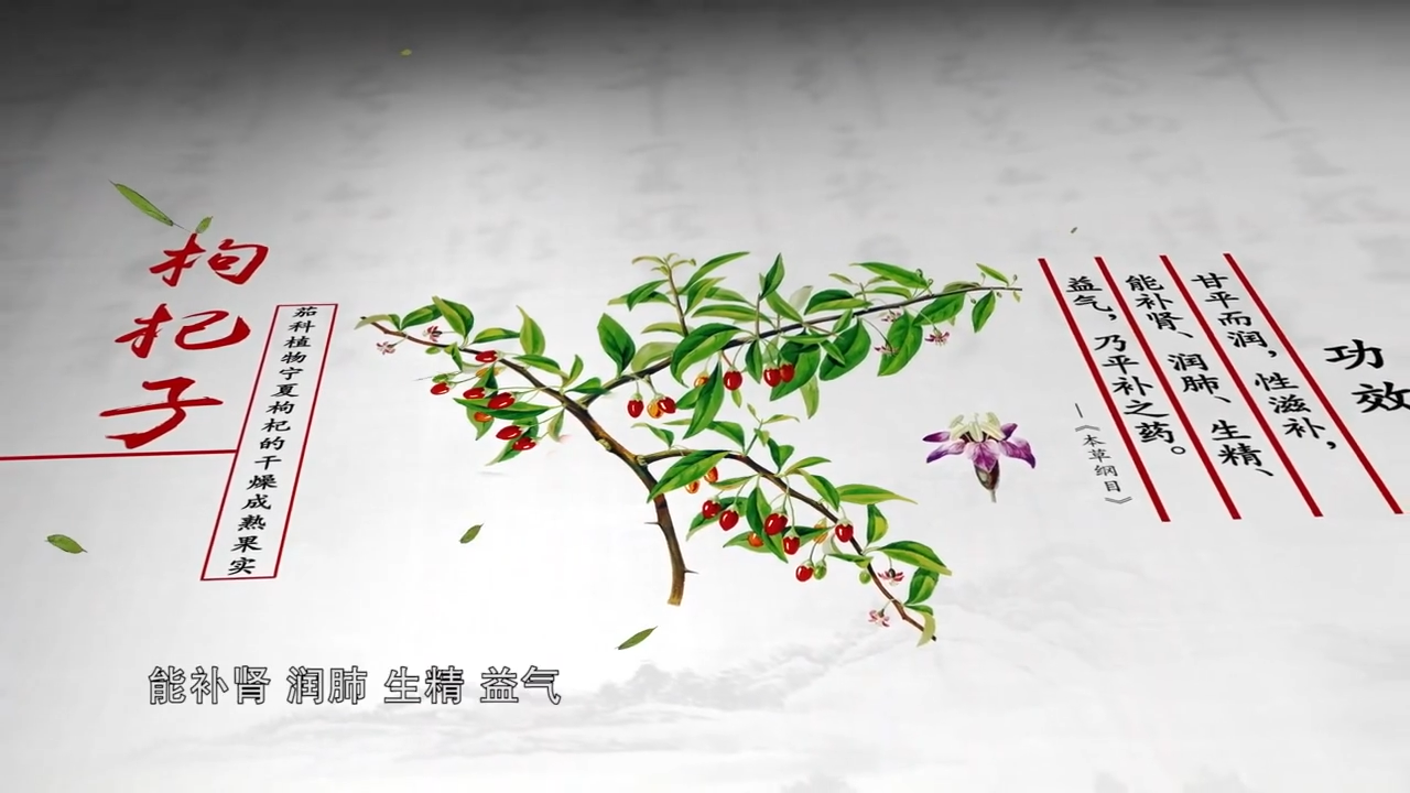 本草中国第一季第6集根脉