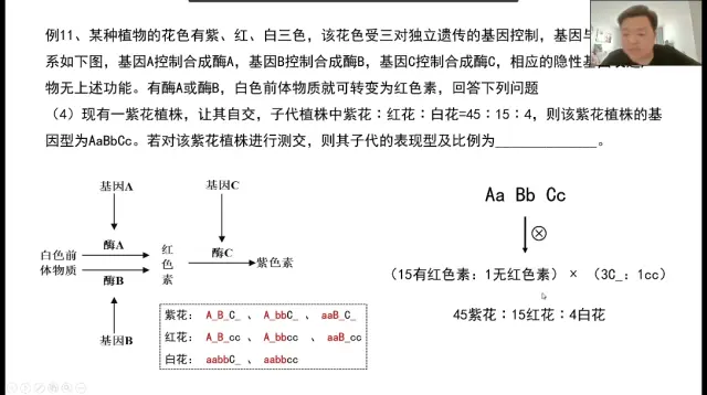 相对性状图片