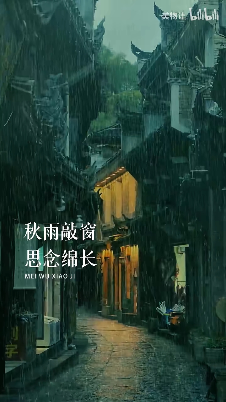 宋词里最深情的一场秋雨 全词无一处提及 雨 字 却处处都是雨 淅淅沥沥 飘 哔哩哔哩