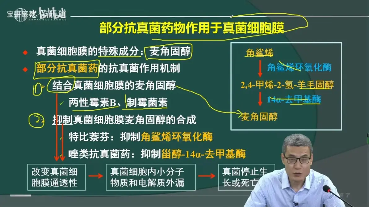 两性霉素b与氟胞嘧啶图片