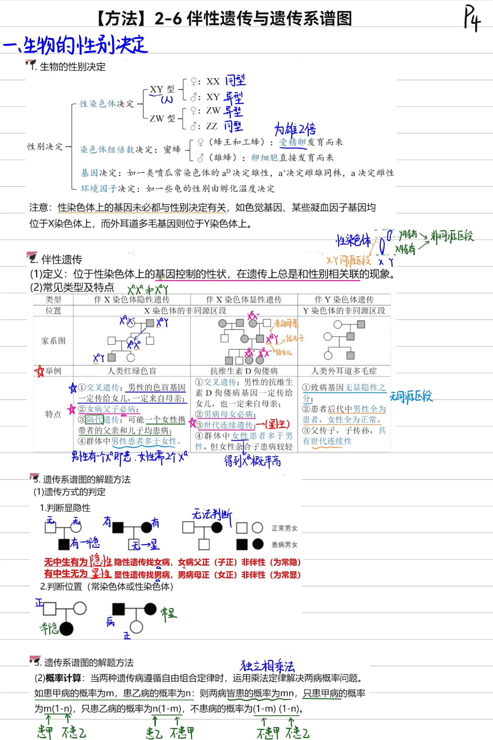 伴性遗传系谱图大招图片