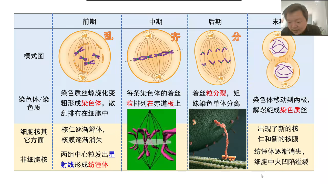 有丝分裂最核心的任务染色质 染色体 染色单体 dna粉丝:6文章:7喵嘞个