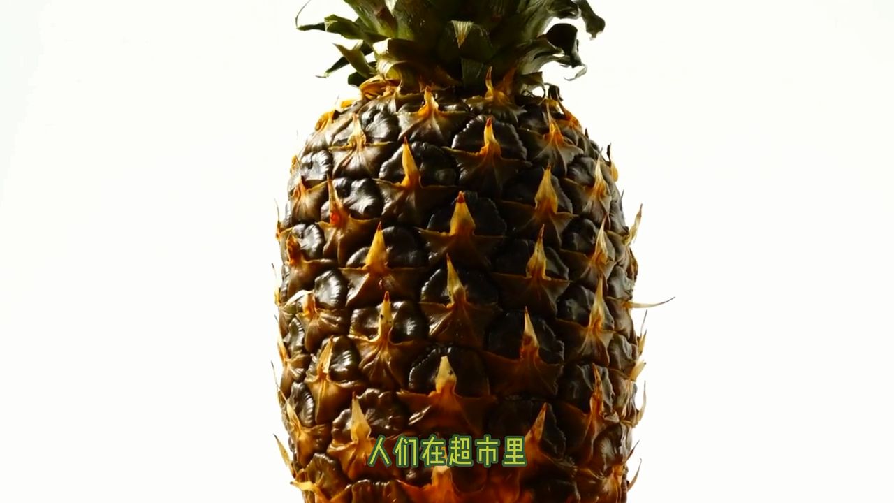 田坤道科普:菠萝为什么会长刺 - 哔哩哔哩