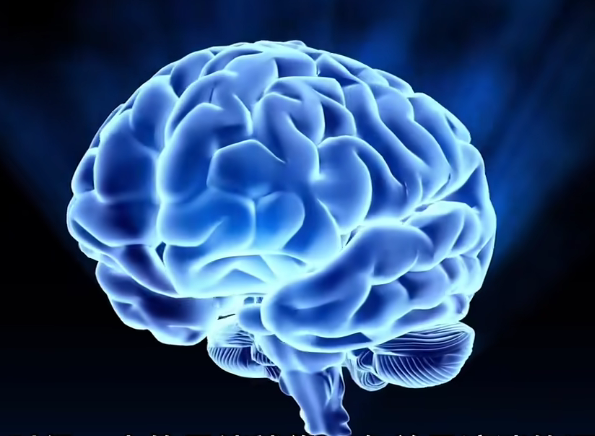 科学家发现大脑也会放空 - 哔哩哔哩