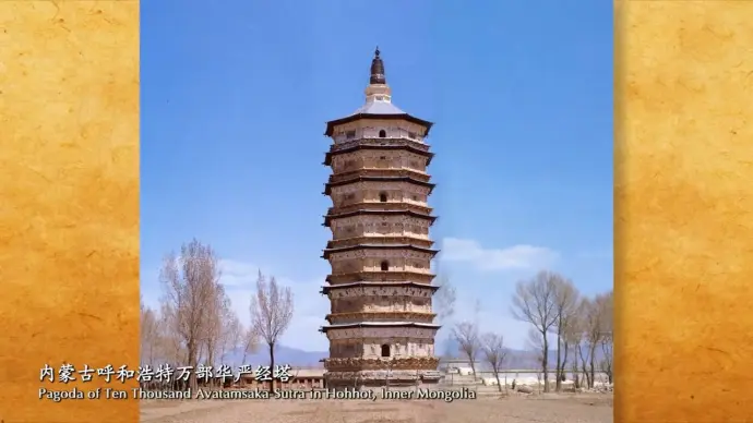 https://i0.hdslb.com/bfs/note/7f774c46487d8a1ad158a27489fa8ee33f2e9044.jpg@690w_!web-note.webp
