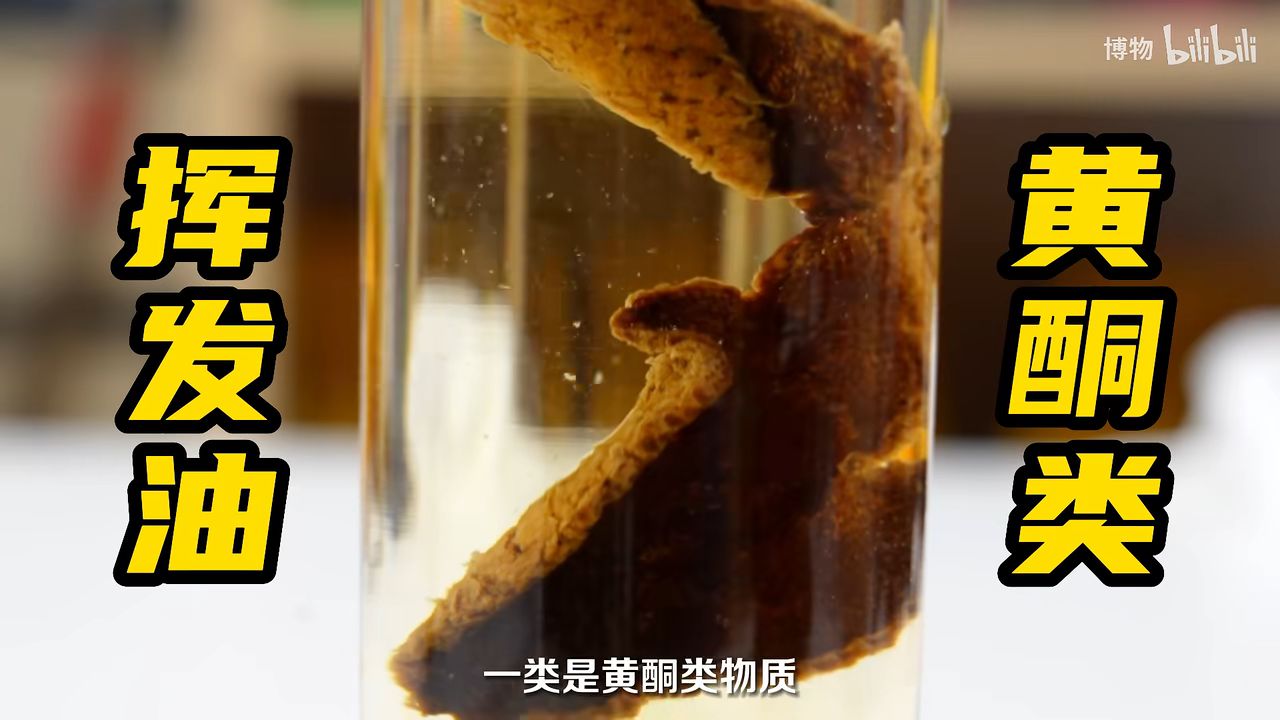 3:橘皮的主要成分:挥发油,黄酮类2:贵的原因:规模,陈化,市场1:大红袍