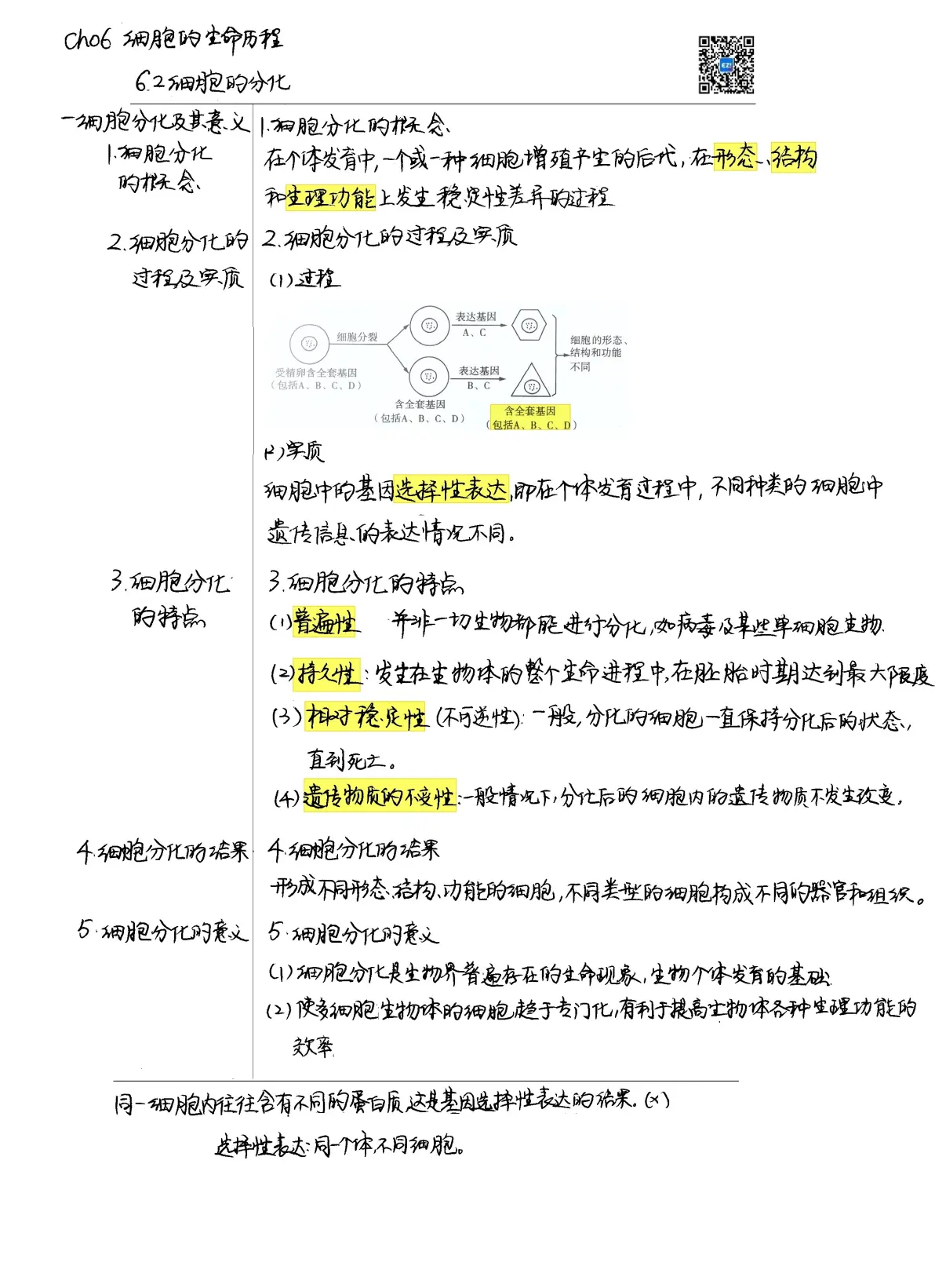 高中生物知识框架(高中生物知识框架图)  第1张