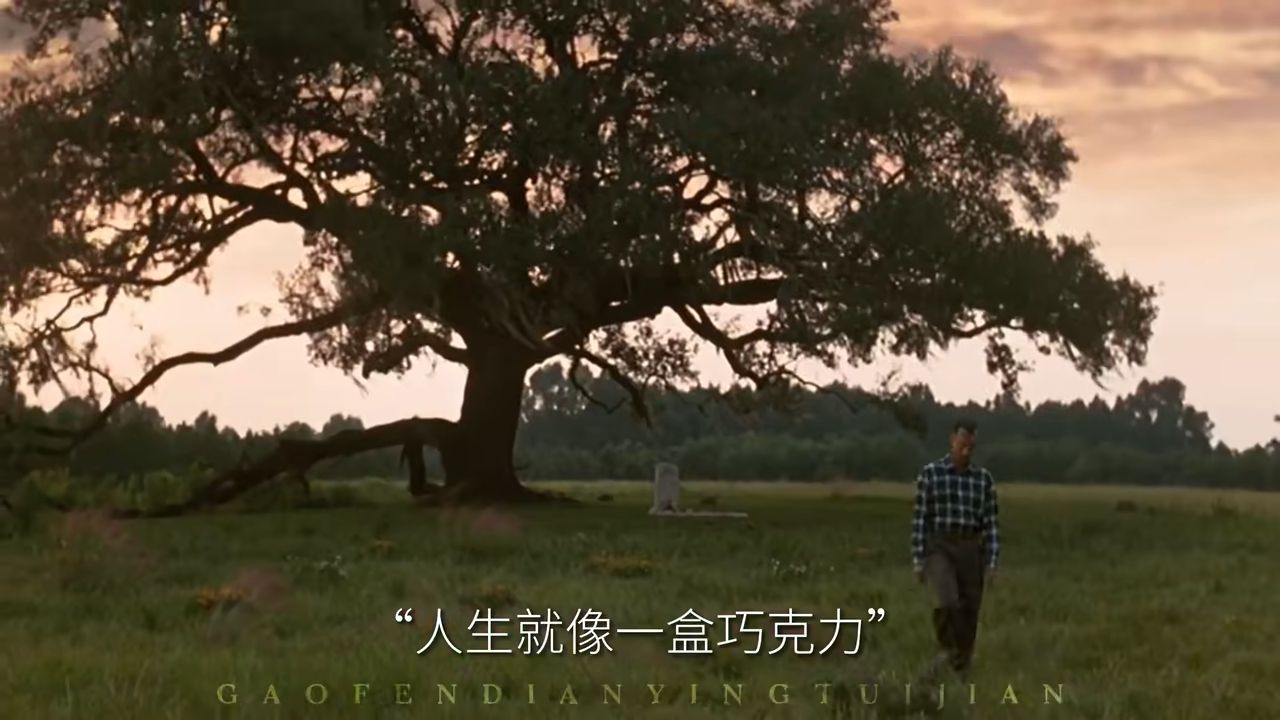 31566阿甘正传教会我们要勇于尝试13阿甘正传00:3813215
