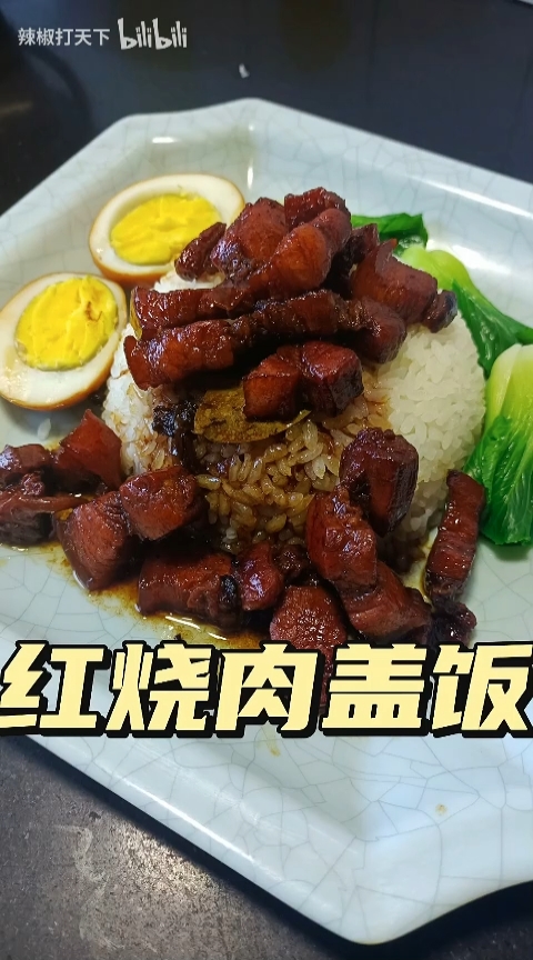 卤肉饭红烧肉盖饭的做法,肥而不腻口齿留香,在家做饭教程视频,.