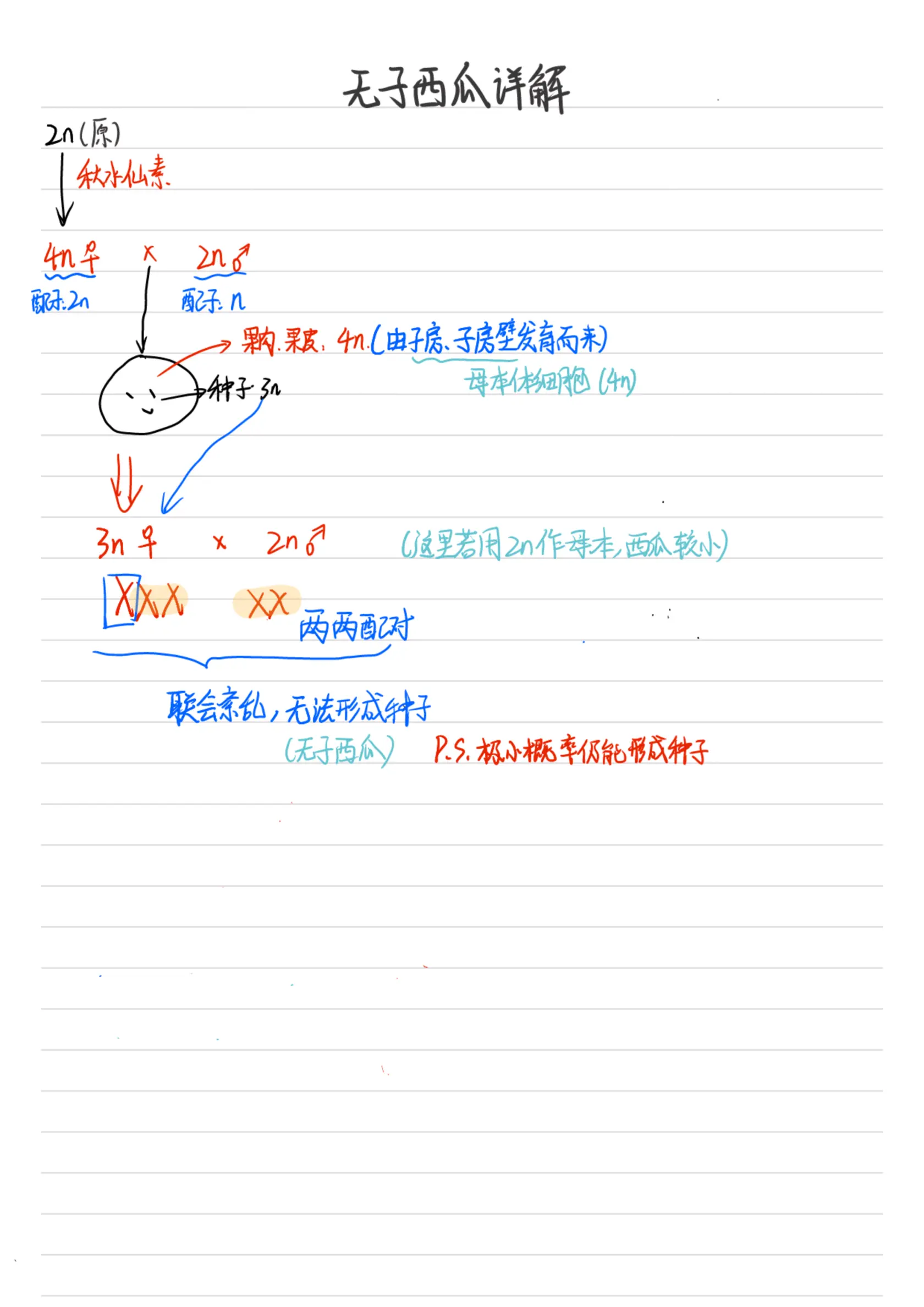 无籽西瓜的培育原理图片