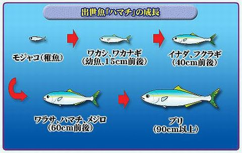 日语有声书 書くのがしんどい05 竹村俊助 哔哩哔哩