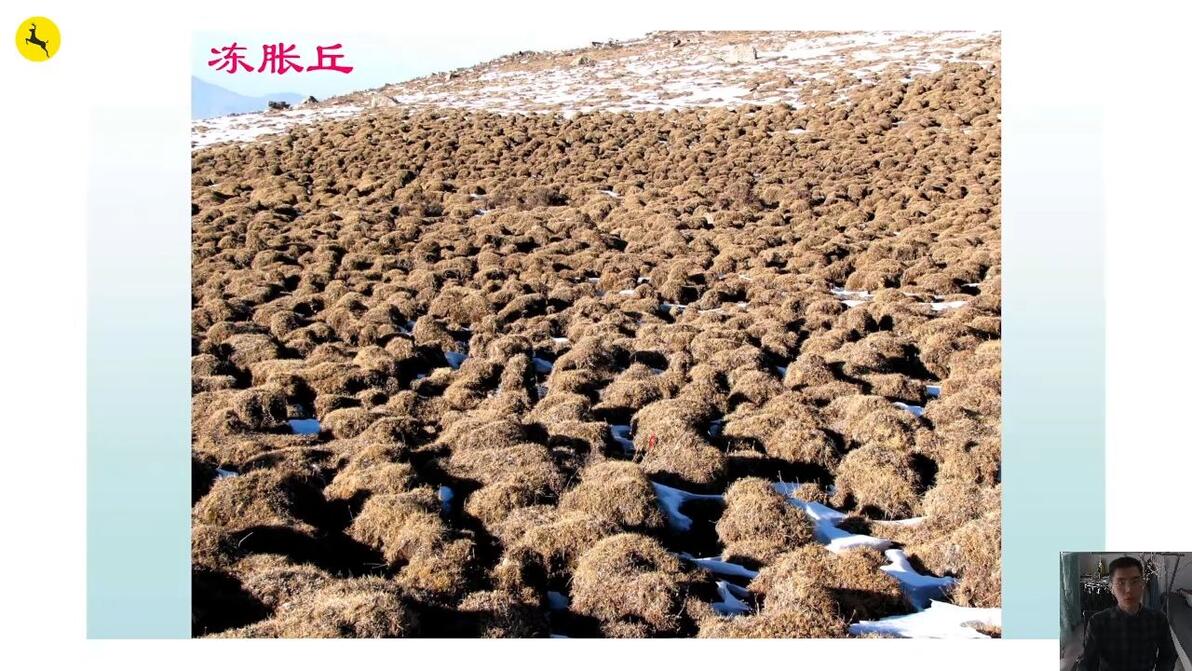 冰楔,冻胀丘、热融湖、石海,石河,石冰川、石环、冻融作用、寒冻风化、冻裂作用,冰 - 哔哩哔哩