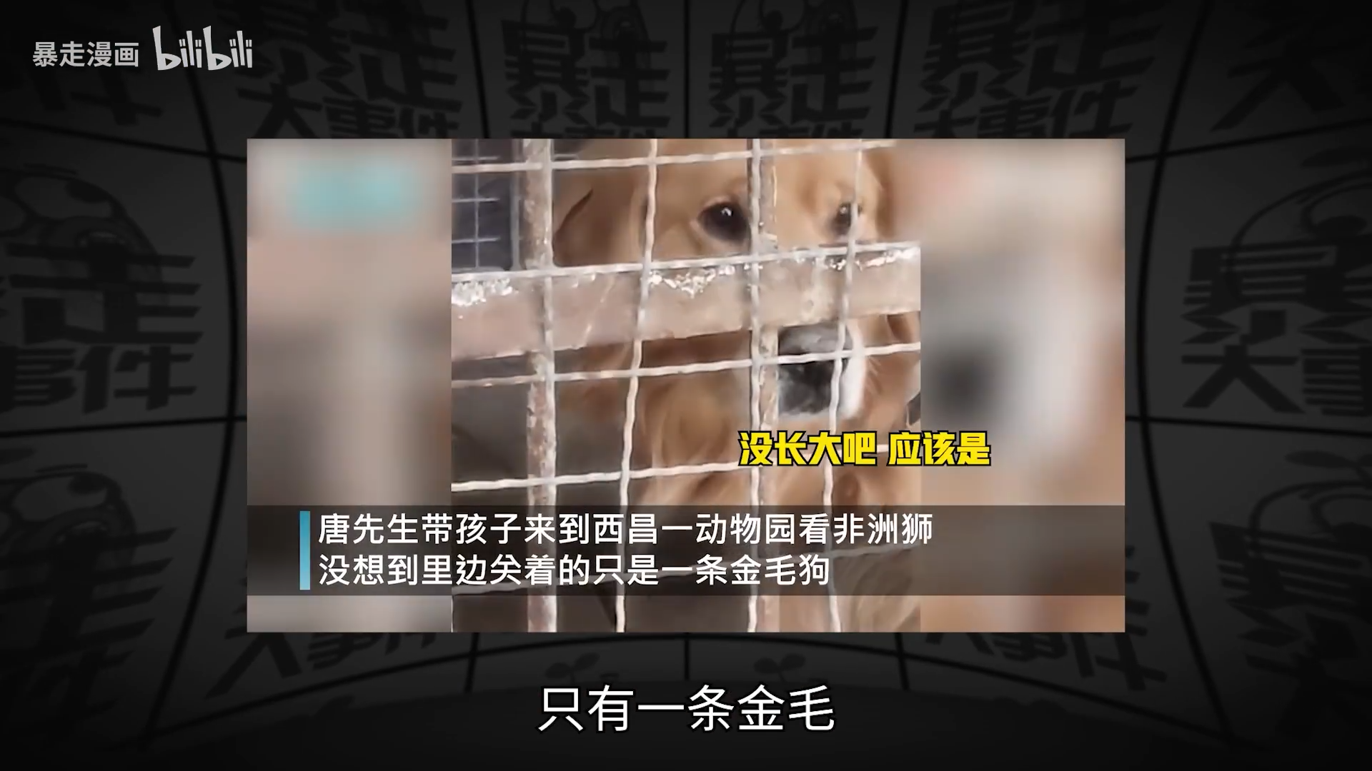 暴走大事件第八季05王尼玛魔改山河今大开脑洞悲催小伙采耳翻车变