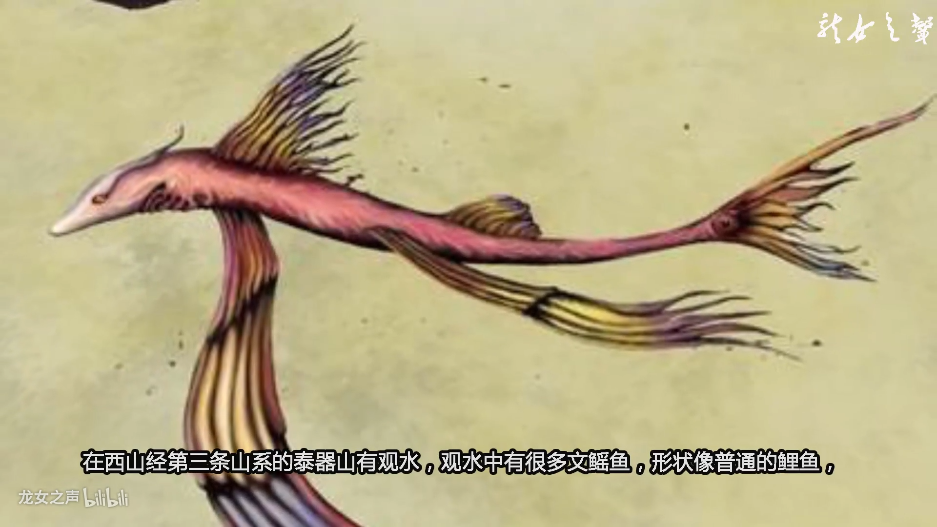 山海经里那些真正存在的动物(西山经)篇 - 哔哩哔哩
