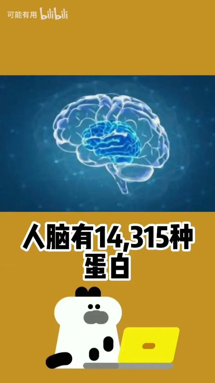 和大脑最相似的器官