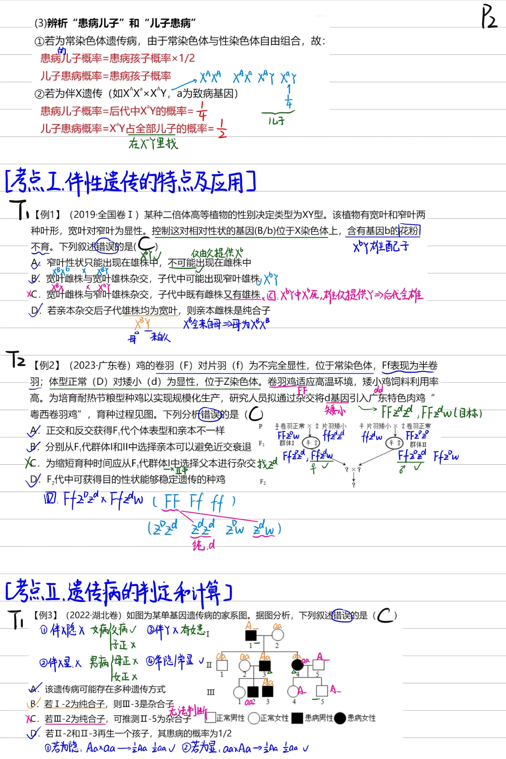 伴性遗传系谱图大招图片