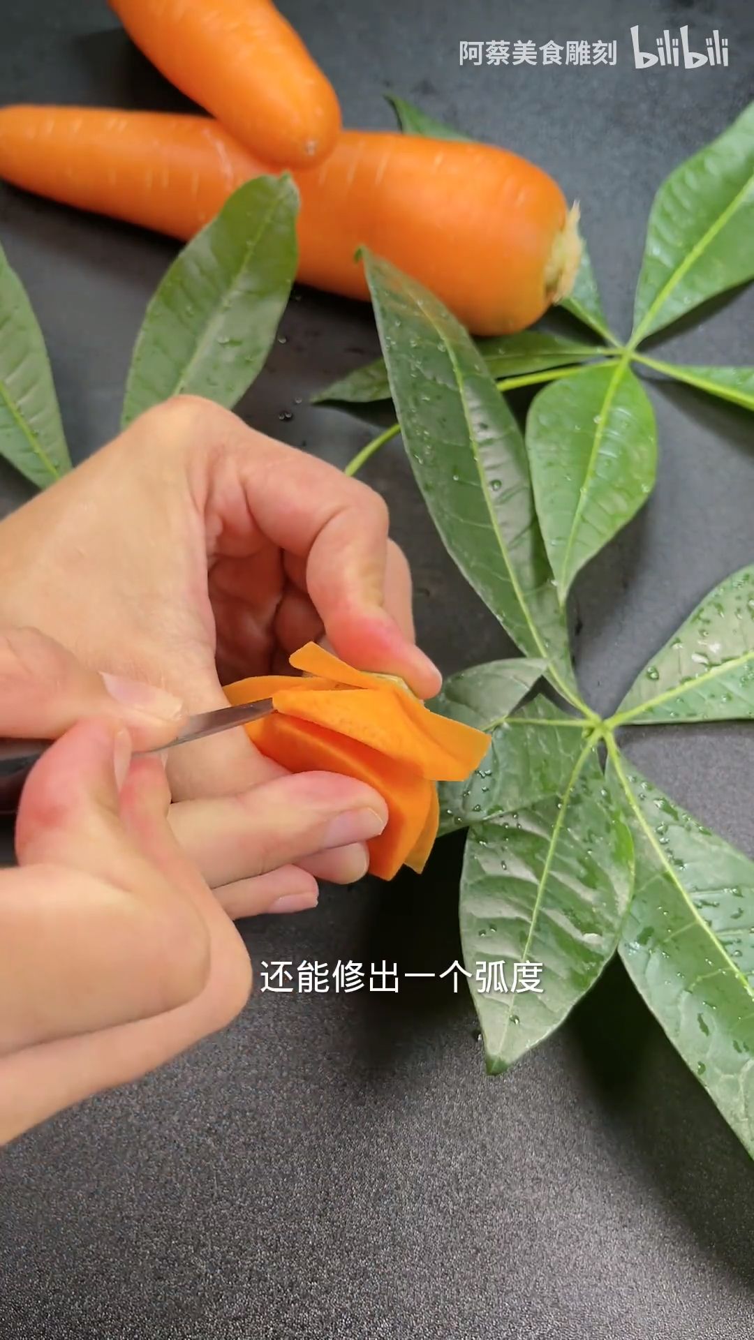 雕刻月季花 - 哔哩哔哩
